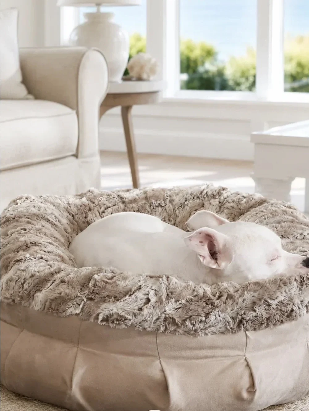Brand New with Tags – Animals Matter Luxury Dog Bed (Large)